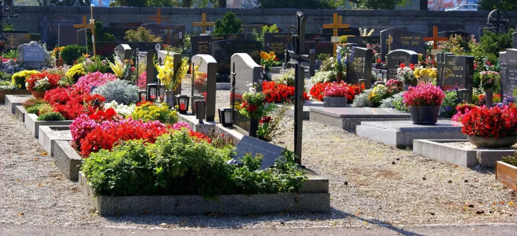 Allées d'un cimetière avec sépultures et tombes généreusement fleuries.